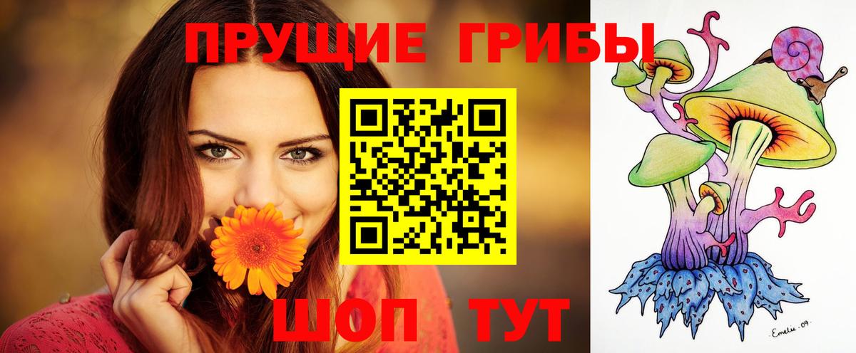 Галлюциногенные грибы мухоморы  купить наркотики цена  Кингисепп  Вход с VPN  Псилоцибиновые грибы мухоморы 
